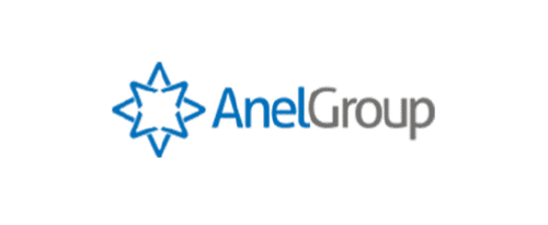 anel-group