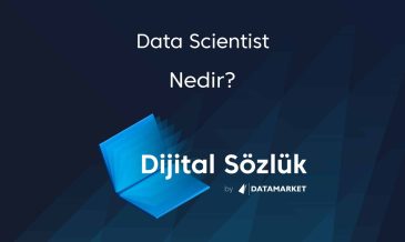 Data Scientist