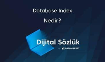 Database Index