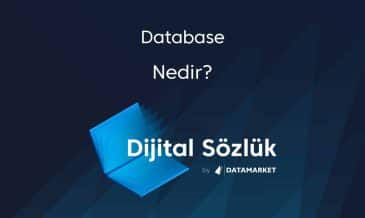 Database