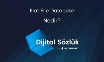 Flat File Database