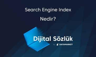 Search Engine Index