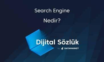 Search Engine